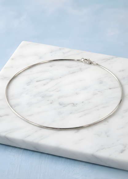 Silver Snake Chain Anklet