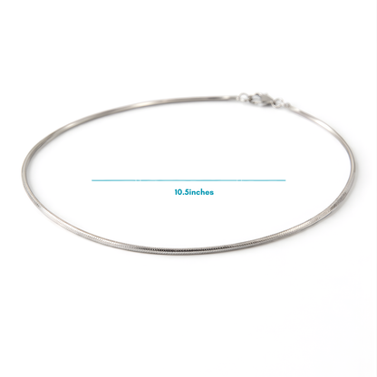 Silver Snake Chain Anklet